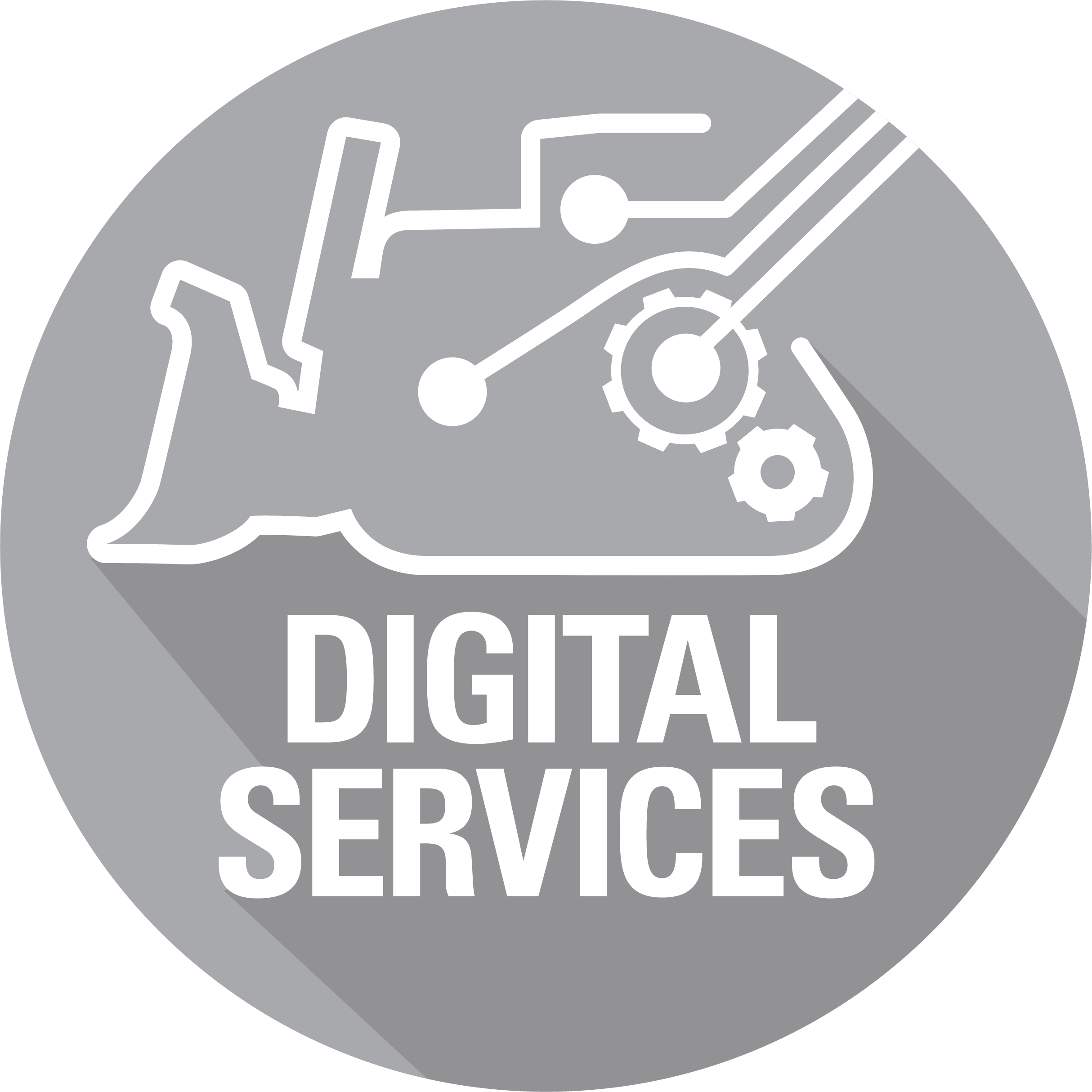 Digital Services's thumbnail image'